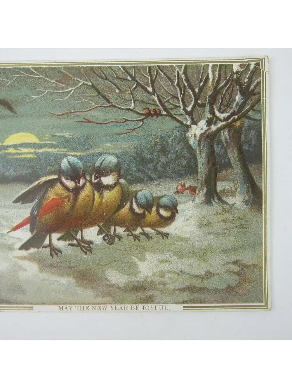 Victorian Greeting Card New Years Titmouse Birds Red Umbrella Snow Trees Antique
